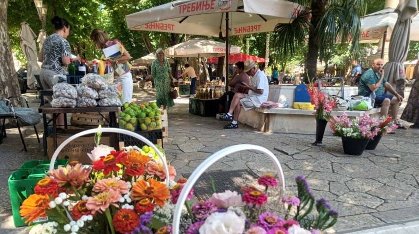 KUTAK LJUBICE MILADINOVIĆ KAO CVJETNA RAZGLEDNICA IZ TREBINJA